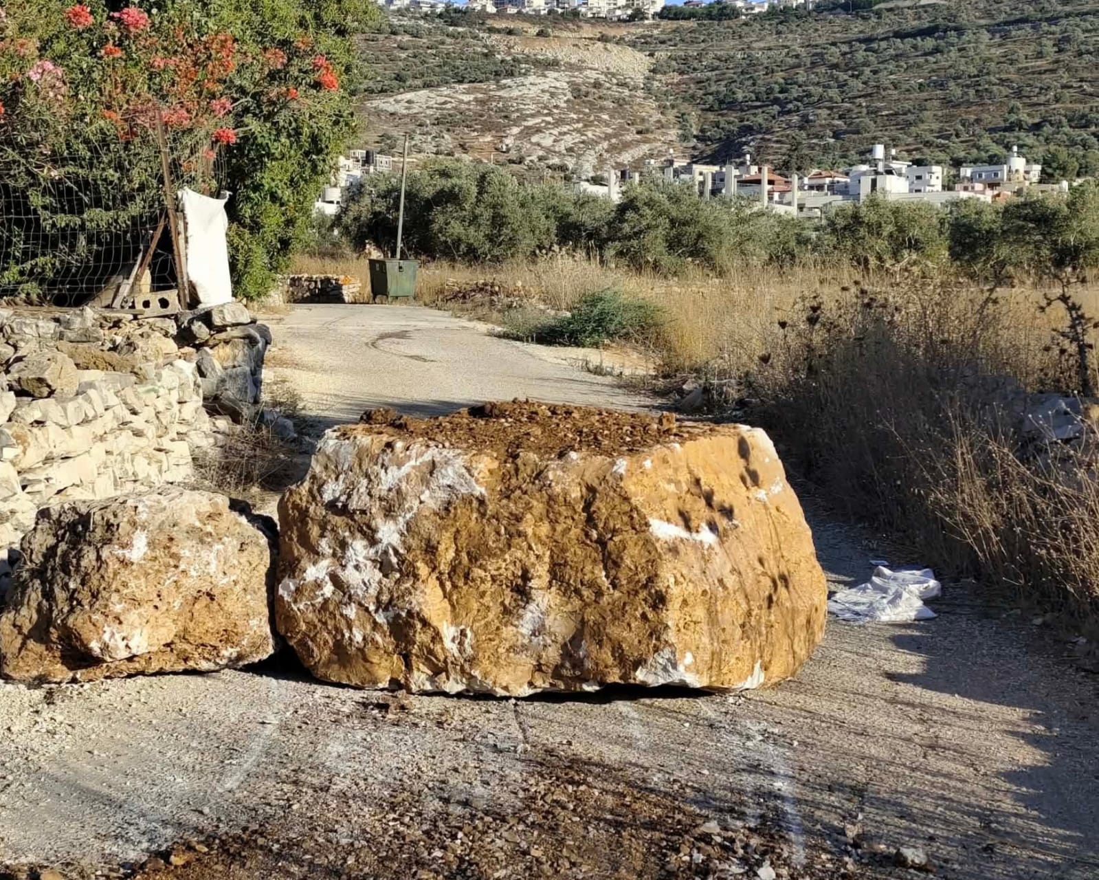 صورة خاصة بـ"وفا"